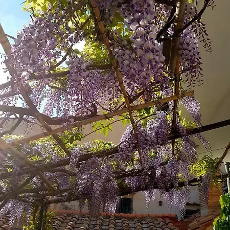 Apartamento Casa Dell'ermanna Cortona