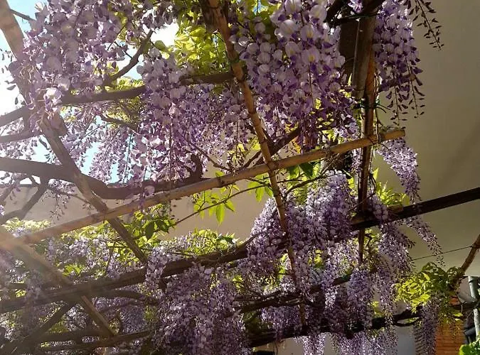 Apartment Casa Dell'ermanna Cortona